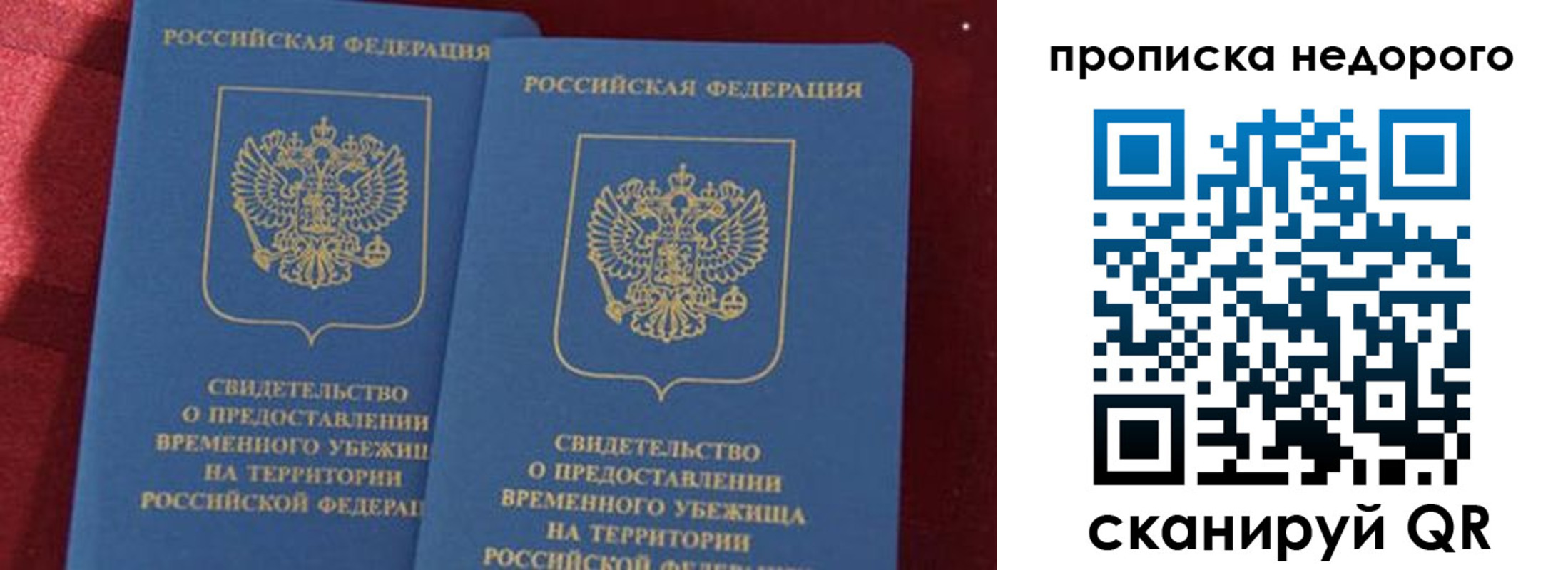 прописка гарантия в Мурино
